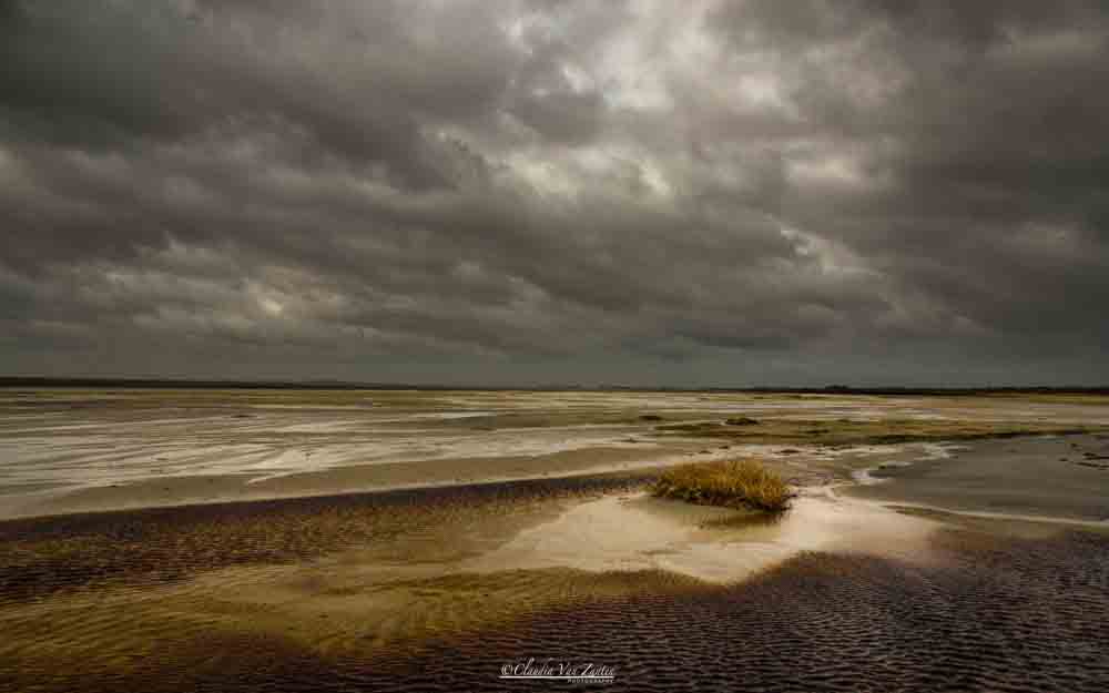 Landscape | Claudia van Zanten